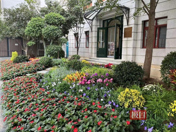 胜利街花漾街区铺满鲜花
