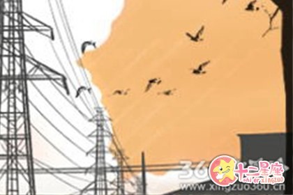中华养生文化