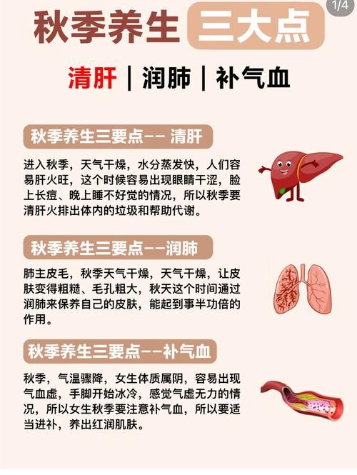 养生小知识