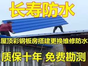 店主头像