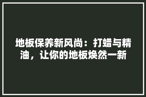 地板保养新风尚：打蜡与精油，让你的地板焕然一新 现代风格装饰