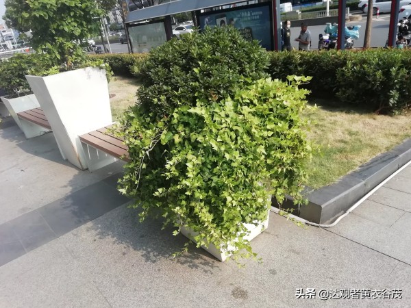 晚餐美食做法简单又好吃家常菜 今日一个人的简便营养可口艺术晚餐的做法与吃法