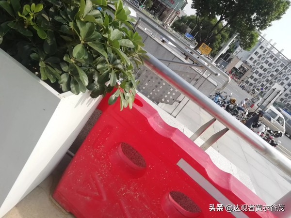 晚餐美食做法简单又好吃家常菜 今日一个人的简便营养可口艺术晚餐的做法与吃法