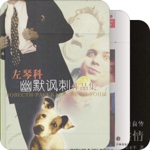 有兴趣读的书4