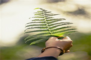 最影响人生的十本书 最不该错过的经典书籍
