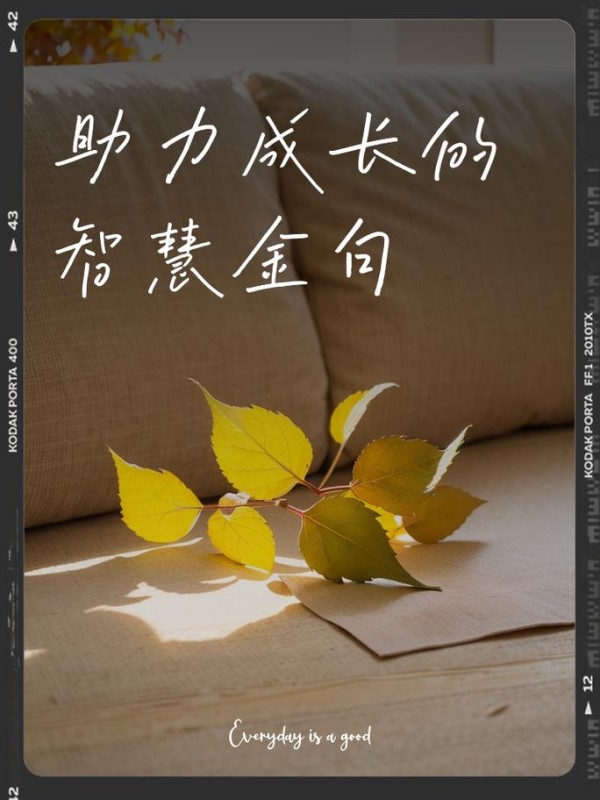 职场励志书籍推荐_职场励志小说推荐_5本经典的职场励志小说