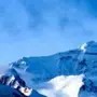 飞翔展雁韵