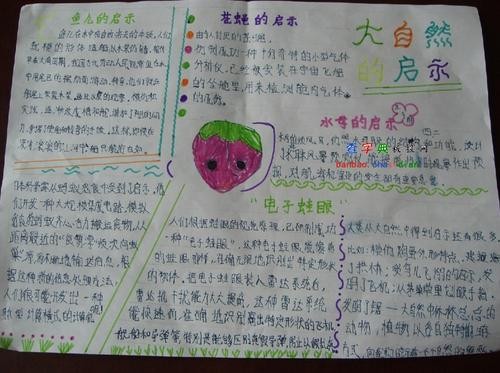 大自然的手抄报