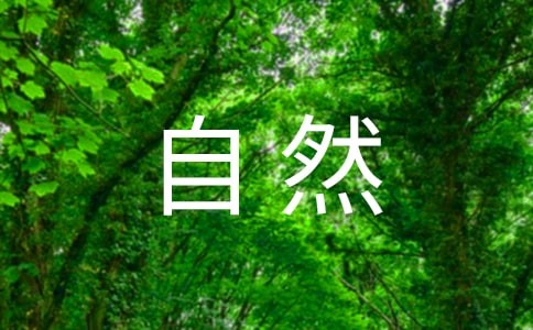 感悟大自然作文600字作文（通用11篇）