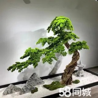 店主头像