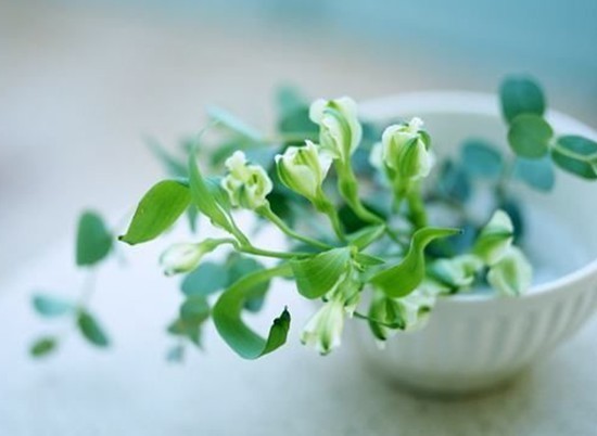 家居风水 镇宅吉祥物