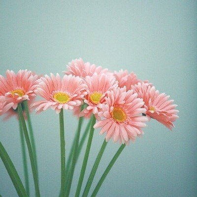优质