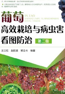 高效与实惠并存
