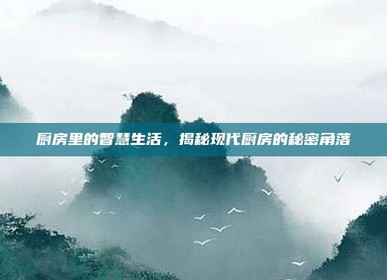 厨房里的智慧生活,揭秘现代厨房的秘密角落