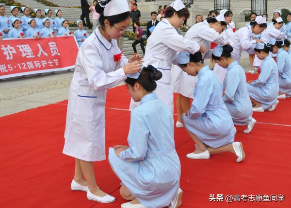 文科专科女生可以选哪些专业(适合普通女孩的专科专业)