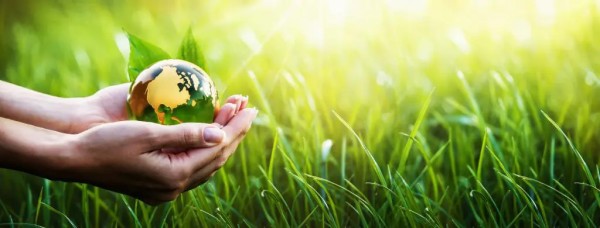 环保饮食:您的食物选择如何影响地球并促进2025年6月的可持续性