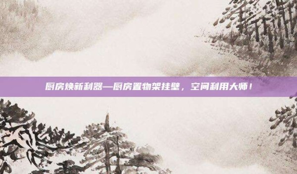 厨房焕新利器—厨房置物架挂壁,空间利用大师!