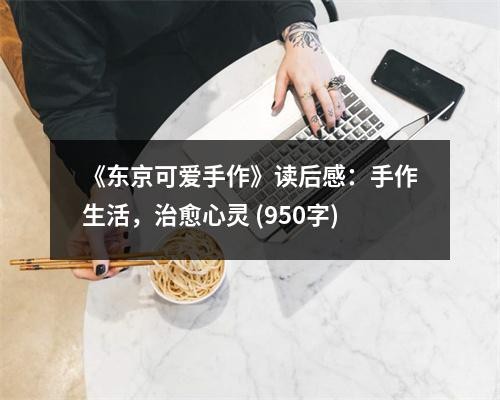《东京可爱手作》读后感：手作生活，治愈心灵 (950字)