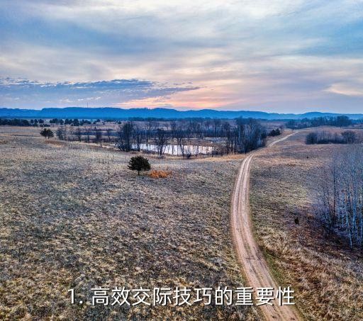 1. 高效交际技巧的重要性