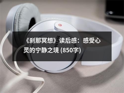 《刹那冥想》读后感：感受心灵的宁静之境 (850字)