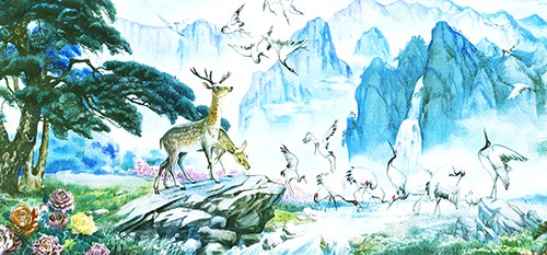 人与动物;和谐相处;荒野
