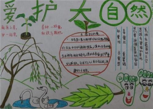爱护大自然的手抄报小学生简洁美观图片素材