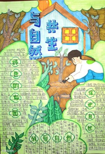 人与自然和谐相处手抄报