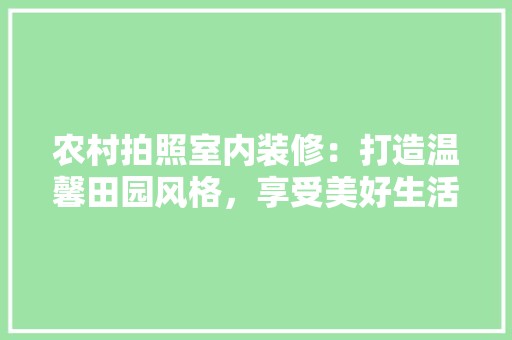 农村拍照室内装修：打造温馨田园风格，享受美好生活 辅材选购