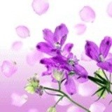 烟雨