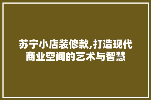 苏宁小店装修款,打造现代商业空间的艺术与智慧 设计规划