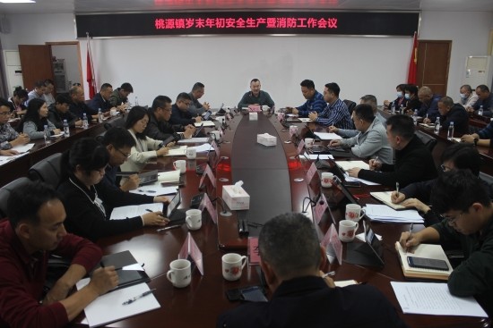 已处理1707313564108桃源镇岁末年初安全生产暨消防工作会议2.JPG