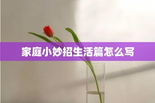 家庭小妙招生活篇怎么写