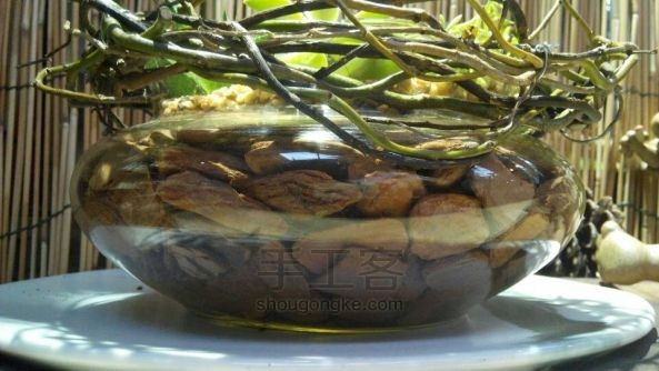 创意植物多肉盆栽 第2步