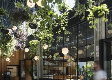 室内花艺吊顶