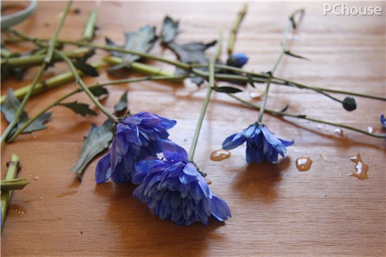 夏花来袭 超实用桌面花艺DIY设计