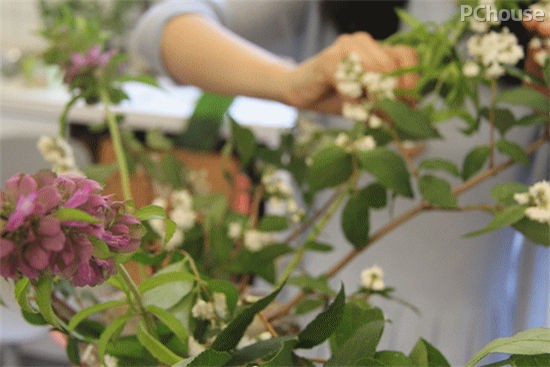 夏花来袭 超实用桌面花艺DIY设计