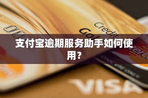 支付宝逾期服务助手如何使用？