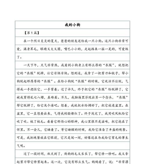 小狗的快乐生活：与人类的日常点滴