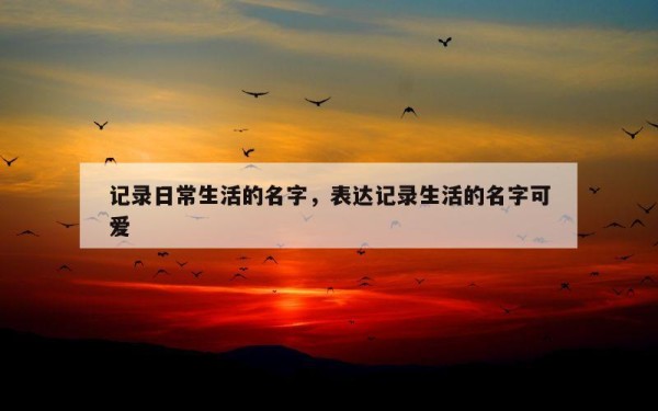 记录日常生活的名字，表达记录生活的名字可爱