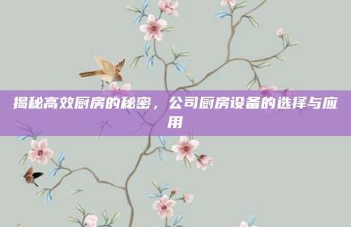 揭秘高效厨房的秘密,公司厨房设备的选择与应用