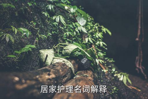 居家护理名词解释