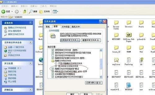如何利用Windows+R快捷键清理垃圾文件（轻松解放硬盘空间） 第1张