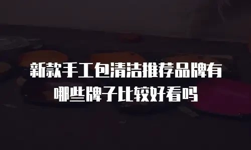 新款手工包清洁推荐品牌有哪些牌子比较好看吗