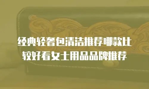 经典轻奢包清洁推荐哪款比较好看女士用品品牌推荐