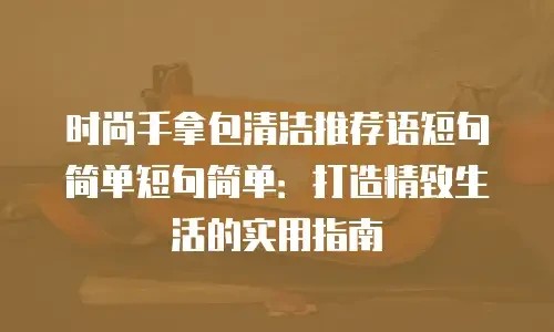 时尚手拿包清洁推荐语短句简单短句简单：打造精致生活的实用指南