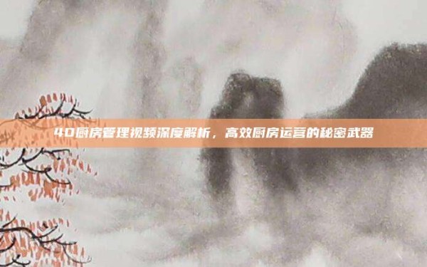 4D厨房管理视频深度解析,高效厨房运营的秘密武器