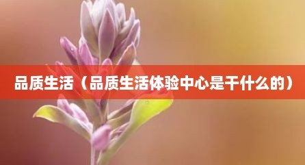 品质生活（品质生活体验中心是干什么的）