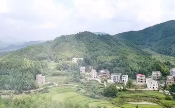 品味生活的优秀作文（《感悟生活》）