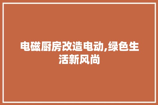 电磁厨房改造电动,绿色生活新风尚
