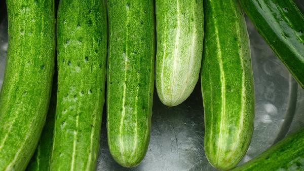 保鲜膜包着食物可以放微波炉吗